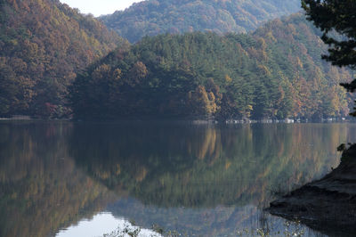 Scenic view of lake by trees against sky