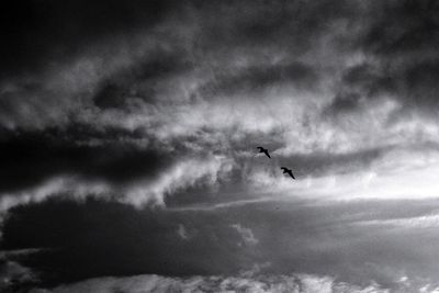 Low angle view of silhouette birds flying in sky