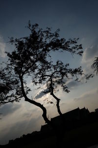 Low angle view of bare trees against sky