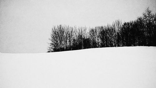 Bare trees on snow landscape against clear sky