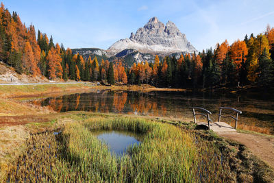 Scenic view of lake by trees against sky