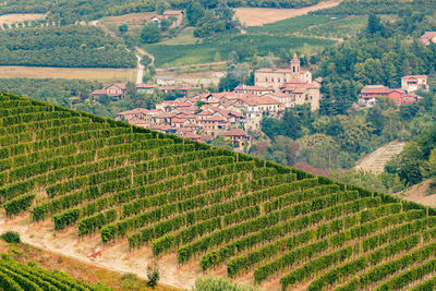 Beautiful view of sinio town and nebbiolo grapes vineyards, piemonte, langhe wine district