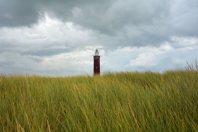 Beach grass in the foreground and the 56 meter high angular west head lighthouse in ouddorp 
