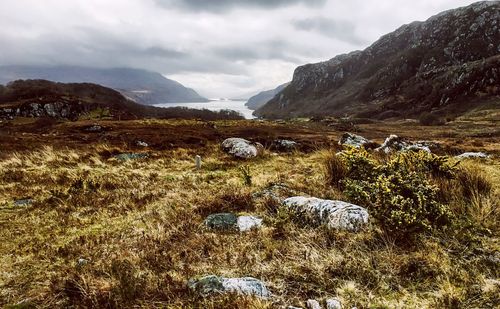 Nature scenery with cloudy sky