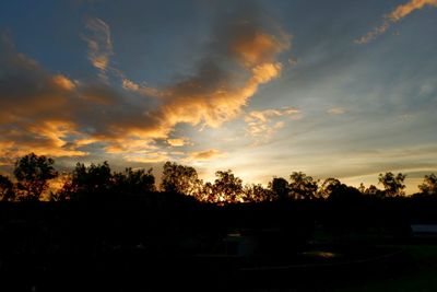 Silhouette trees against sky at sunset