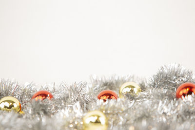 Close-up of frozen plants against white background