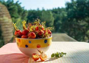 Fruits wild rose hips of beach rose, rosa rugosa, in a bowl. close up. window in the background.