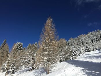 Panoramic view of snow covered landscape against blue sky