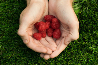 Close-up of hand holding strawberries