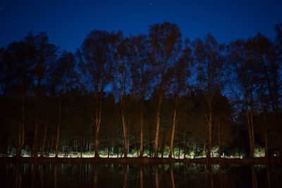 Scenic view of forest at night