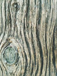 Full frame shot of cracked tree