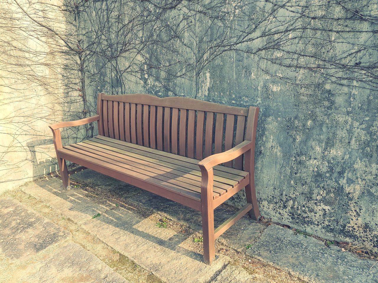 EMPTY BENCH IN PARK