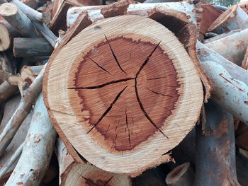 Full frame shot of logs in forest