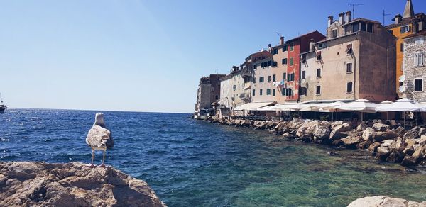 View of sea by buildings against clear sky