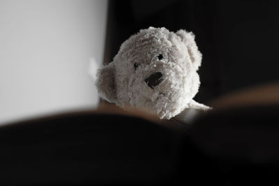 Close-up of stuffed toy at home