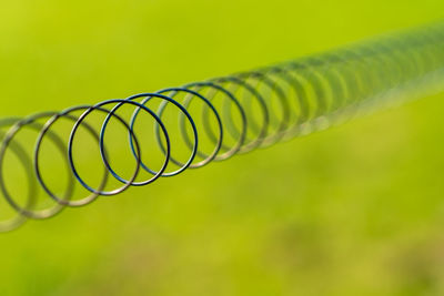 Close-up of green leaf