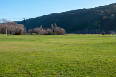 Scenic view of field against clear sky