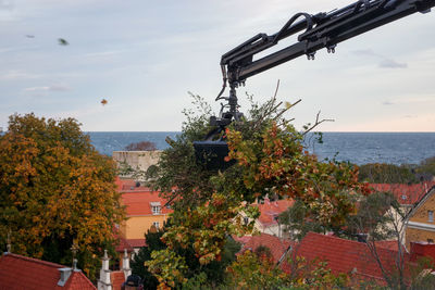 High angle view of trees and buildings by sea against sky