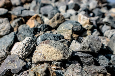 High angle view of stones