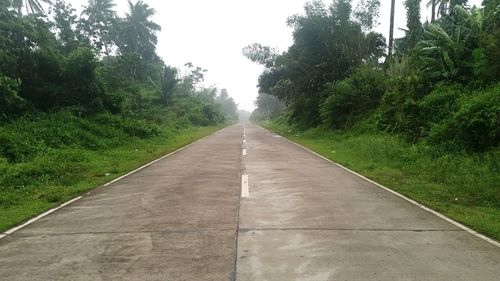 Road amidst trees against clear sky