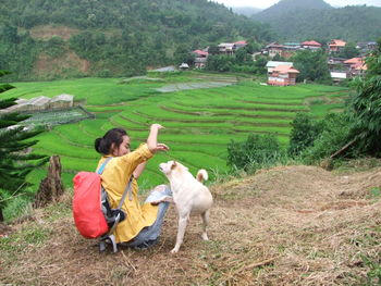 Rear view of woman with dog sitting on field