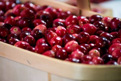 Close-up of cherries in bowl