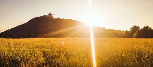 Scenic view of field against clear sky during sunset