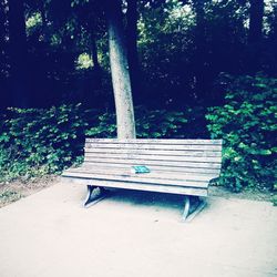 Empty bench in park