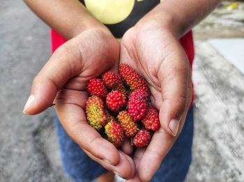 Cropped image of hand holding berries