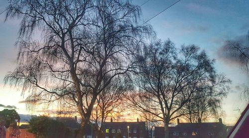 Silhouette trees against sky during sunset