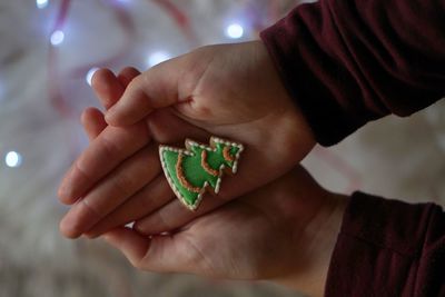 Close-up of person holding hands