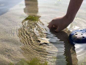Cropped hand of person touching starfish in water at bach