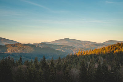 View of the spruce forests of the beskydy mountains in the east of the czech republic