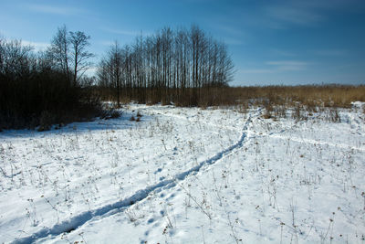 Bare trees on snow covered meadow against sky, winter day