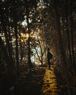 Man standing by trees in forest