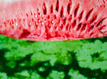 Full frame shot of pink fruit on water