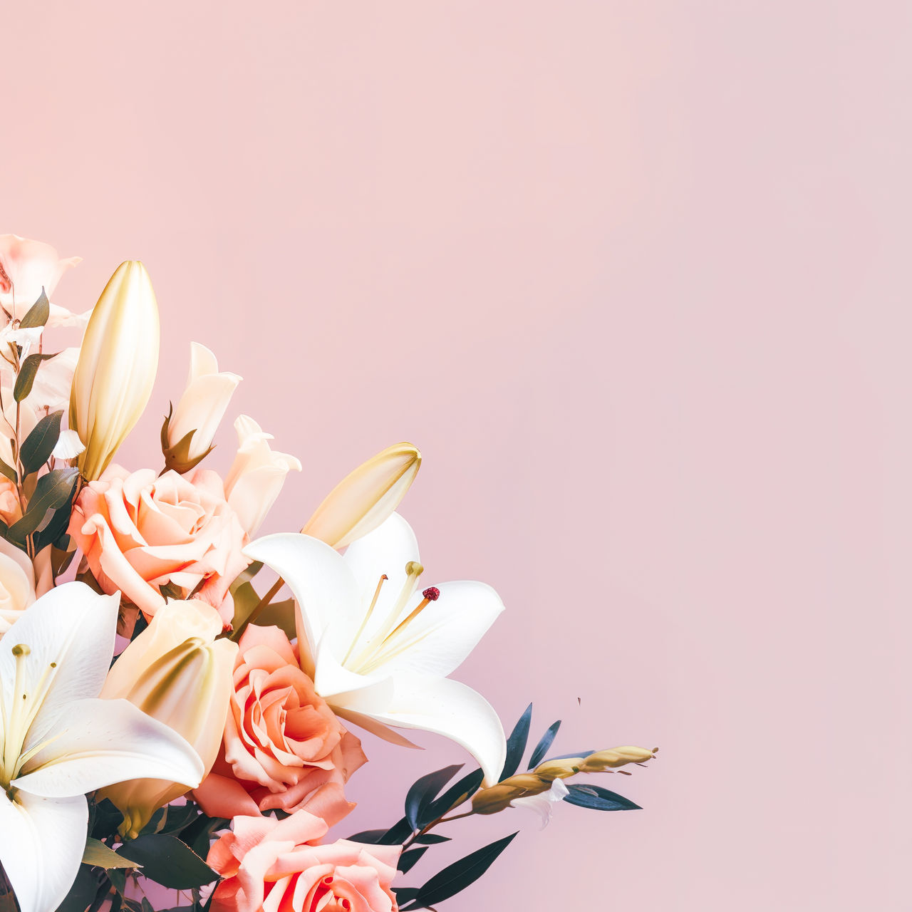 flower, flowering plant, plant, beauty in nature, pink, copy space, freshness, bouquet, nature, petal, no people, flower head, studio shot, flower arrangement, fragility, inflorescence, indoors, floristry, close-up, yellow, blossom, colored background, still life, celebration