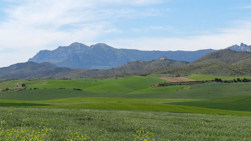 Scenic view of field against sky