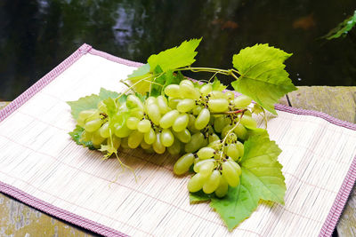 Close-up of fresh fruits on plant