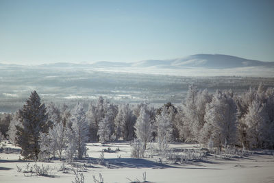 Scenic view of snow covered field against sky