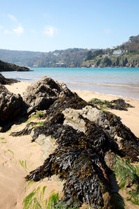 Scenic view of beach against sky