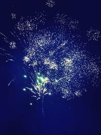 Low angle view of illuminated tree against clear sky at night