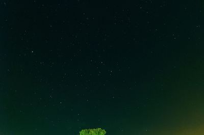 Scenic view of star field against sky at night