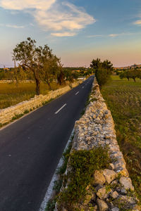 Road by trees against sky during sunset