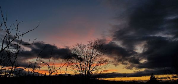 Silhouette trees against dramatic sky during sunset