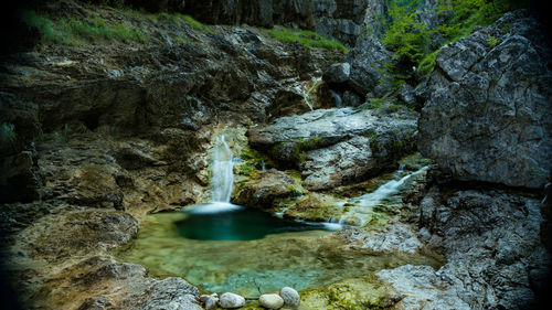 Scenic view of waterfall in forest