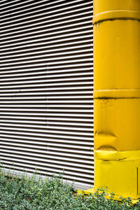 Close-up of yellow shutter against wall