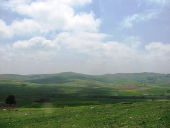 Scenic view of field against sky