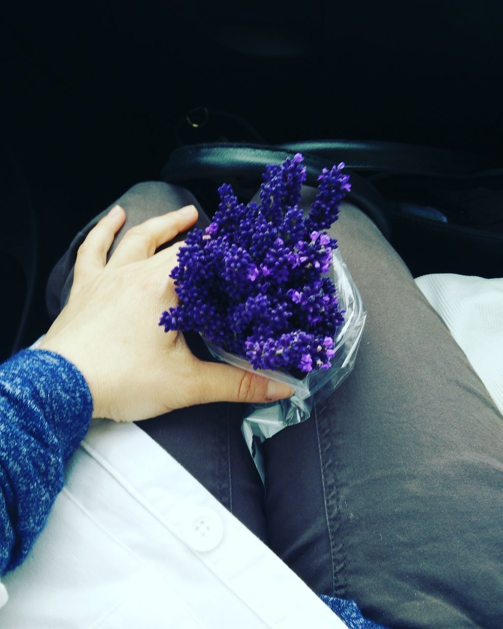 LOW SECTION OF WOMAN HOLDING PURPLE FLOWER IN POT