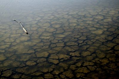 Scenic view of water